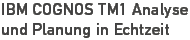 IBM COGNOS TM1 Teaser